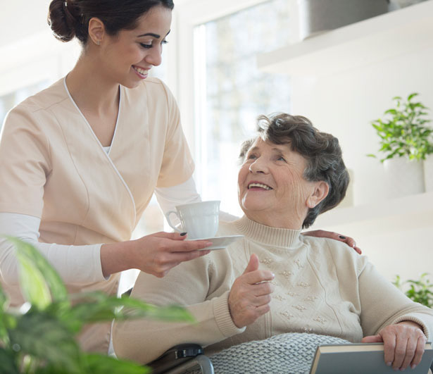 Female nurse serving woman in wheelchair tea