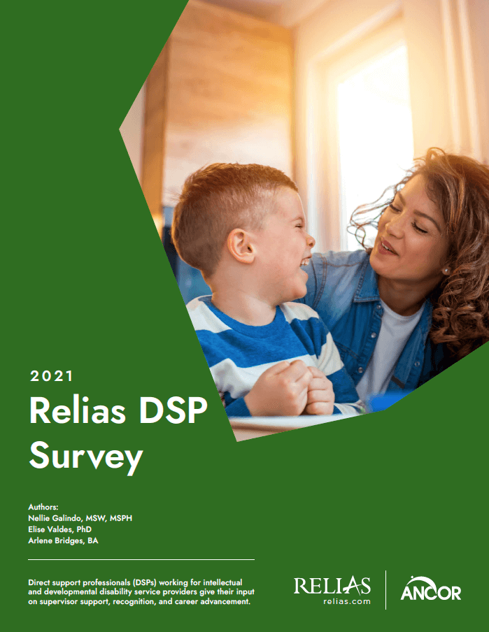 2021 DSP Survey Report cover