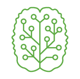 brain icon